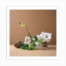 Moss And Flowers Art Print