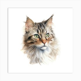 Brazilian Shorthair Longhair Cat Portrait 1 Art Print