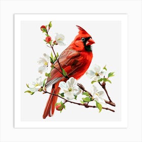 Cardinal In Blossom Art Print