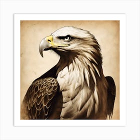 Bald Eagle Art Print