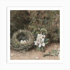 Nest 7 Art Print