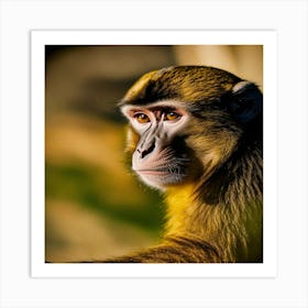 Monkey - Close Up Art Print