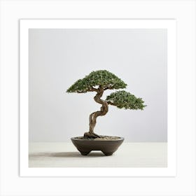 Minimalist Bonsai Tree Embodies The Essence Of Tranquility With Serene Shadows Cast On A Neutral Bac Art Print