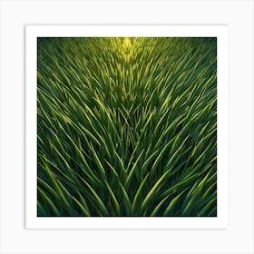 Grass Field At Sunset Art Print