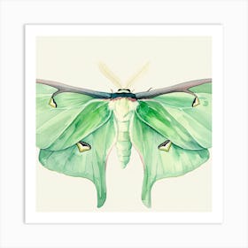 Green Moth Art Print