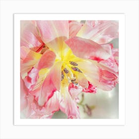 Close-Up Tulip 2 Art Print