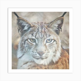 Lynx Whisperer Art Print