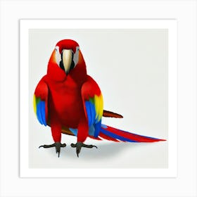 Parrot Art Print