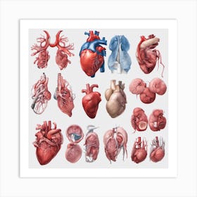 356131 Set Of Human Organs, High Detail, White Background Xl 1024 V1 0 Art Print