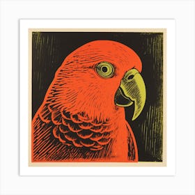 Retro Bird Lithograph Parrot 4 Art Print