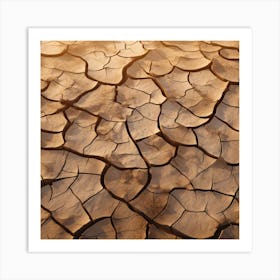 Dry Cracked Earth 4 Art Print