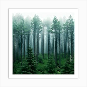 Firefly Misty Pine Forest Background 74507 Poster