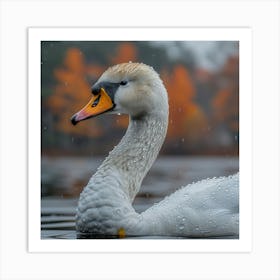 Swan In The Rain 4 Art Print