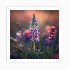 Lupine Art Print