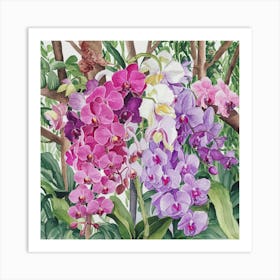 Orchids 8 Art Print