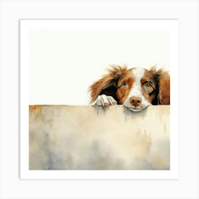 Setter Irish 3 Art Print