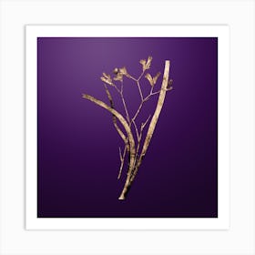 Gold Botanical Anigozanthos Flavida on Royal Purple n.4093 Art Print