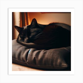 Black Cat Sleeping On A Pillow 1 Art Print