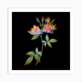 Prism Shift Hudson Rosehip Botanical Illustration on Black n.0074 Art Print