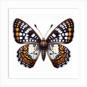 Butterfly of Bhutanitis lidderdalii 1 Art Print