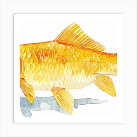 Goldfish Art Print