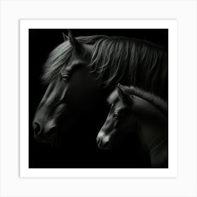 Black Horse And Foal 4 Art Print