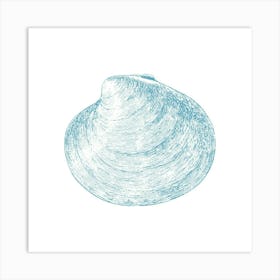 Clam Shell 1 Art Print