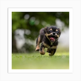 Chihuahua Puppy Running Art Print