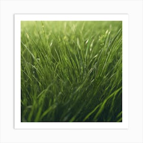 Green Grass Background 31 Art Print