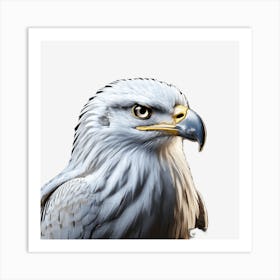 Eagle 1 Art Print