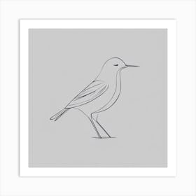 Bird Drawing Art Print