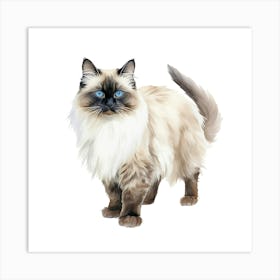 Siamese Cat Art Print