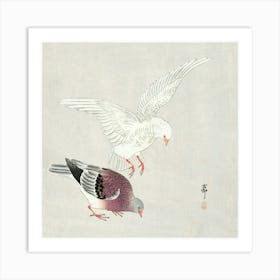 Two Pigeons (1877 1945), Ohara Koson Art Print