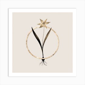 Gold Ring Tulipa Celsiana Glitter Botanical Illustration n.0106 Art Print