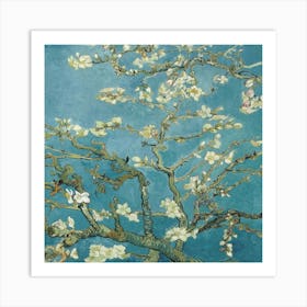 Blossoming Almond Tree 5 Art Print