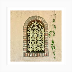 Wrought Iron Window Art Print