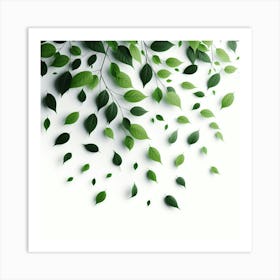 Green Leaves On A White Background Art Print