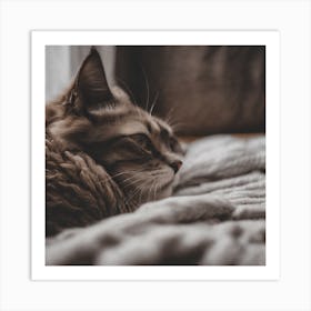 Cat Laying On A Blanket Art Print