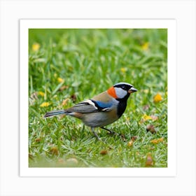 Blue-Winged Tit 3 Art Print