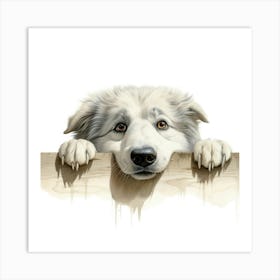 Dog Looking Over Fence Art Print