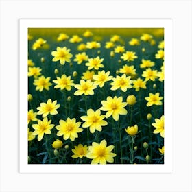 Yellow Flowers In A Field 4 Art Print