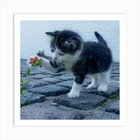 Kitten Playing With Flowers Art Print