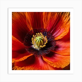 Ethereal poppy flower 8 Art Print