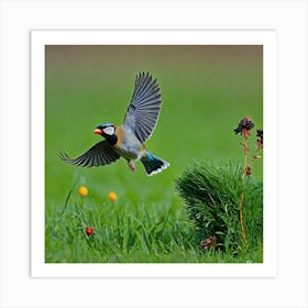 Bird Natural Wild Wildlife Tit Sparrows Sparrow Blue Red Yellow Orange Brown Wing Wings (47) Art Print