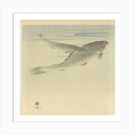 Koi Carp Art Print