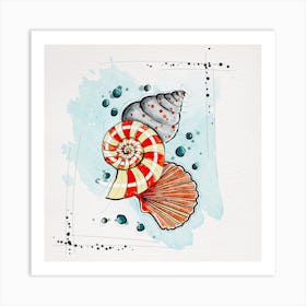 Watercolor Sea Shells Art Print