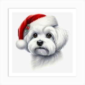 Maltese Dog Poster