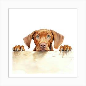 Vizsla Dog 2 Art Print