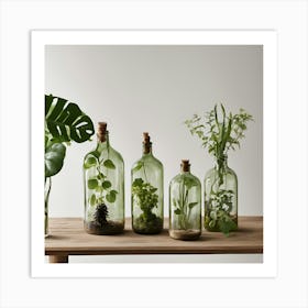 Terrariums Art Print