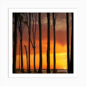 Sunset In The Trees Art Print